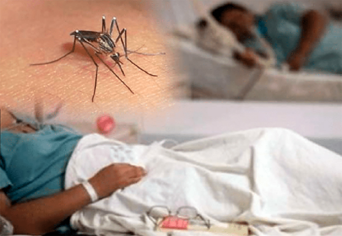 Oaxaca, con 12 casos de dengue, reportan los SSO