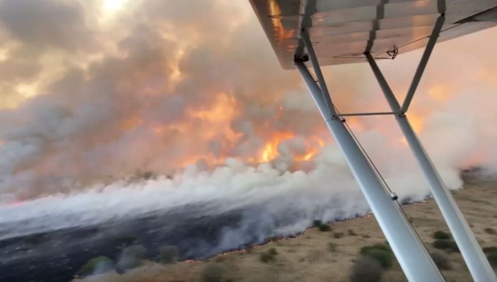 Fuego arrasa con la mayor reserva nacional de Kenia
