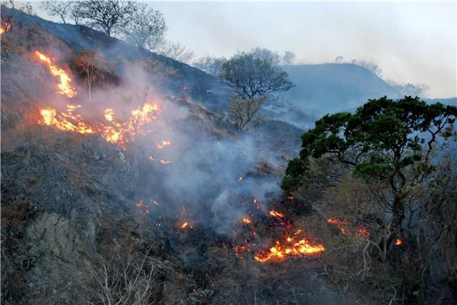 Oaxaca, sin presupuesto para combatir incendios forestales