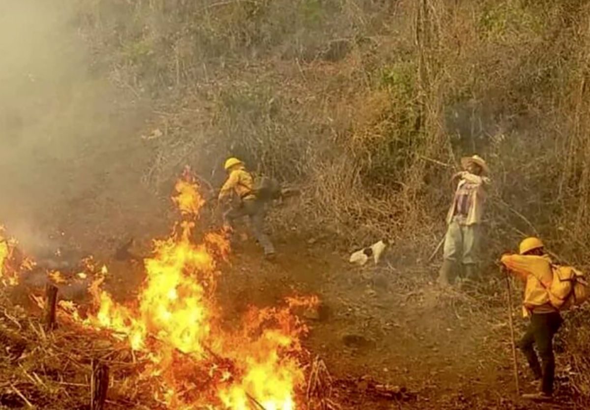 Cuatro muertos deja Incendio forestal en la mixteca; entre ellos un menor