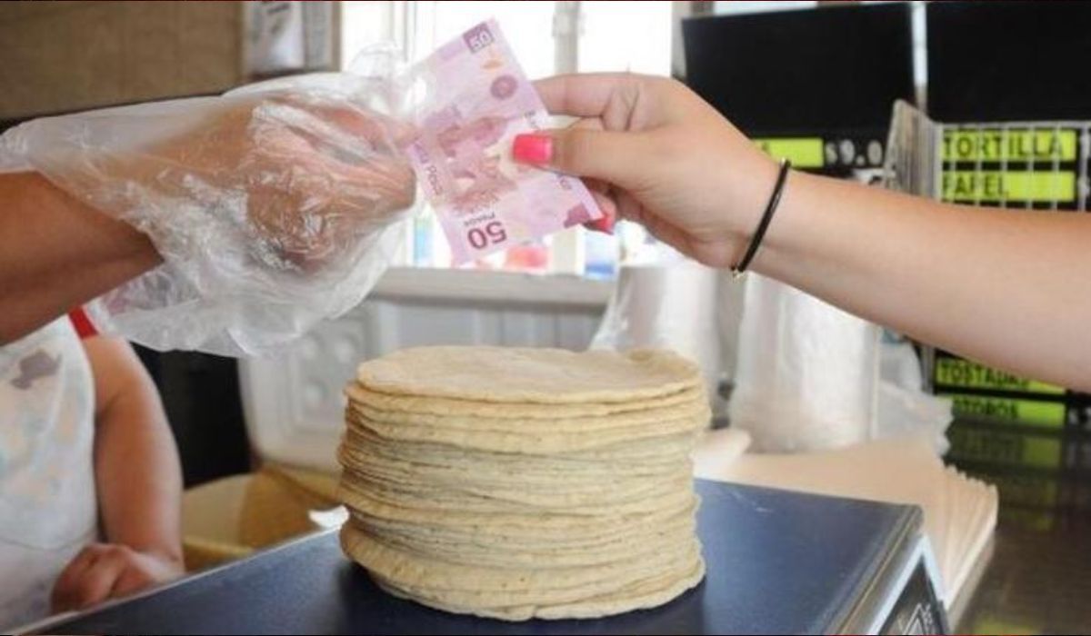 ▶ Aumenta hasta 5 pesos el kilo de tortilla en Oaxaca