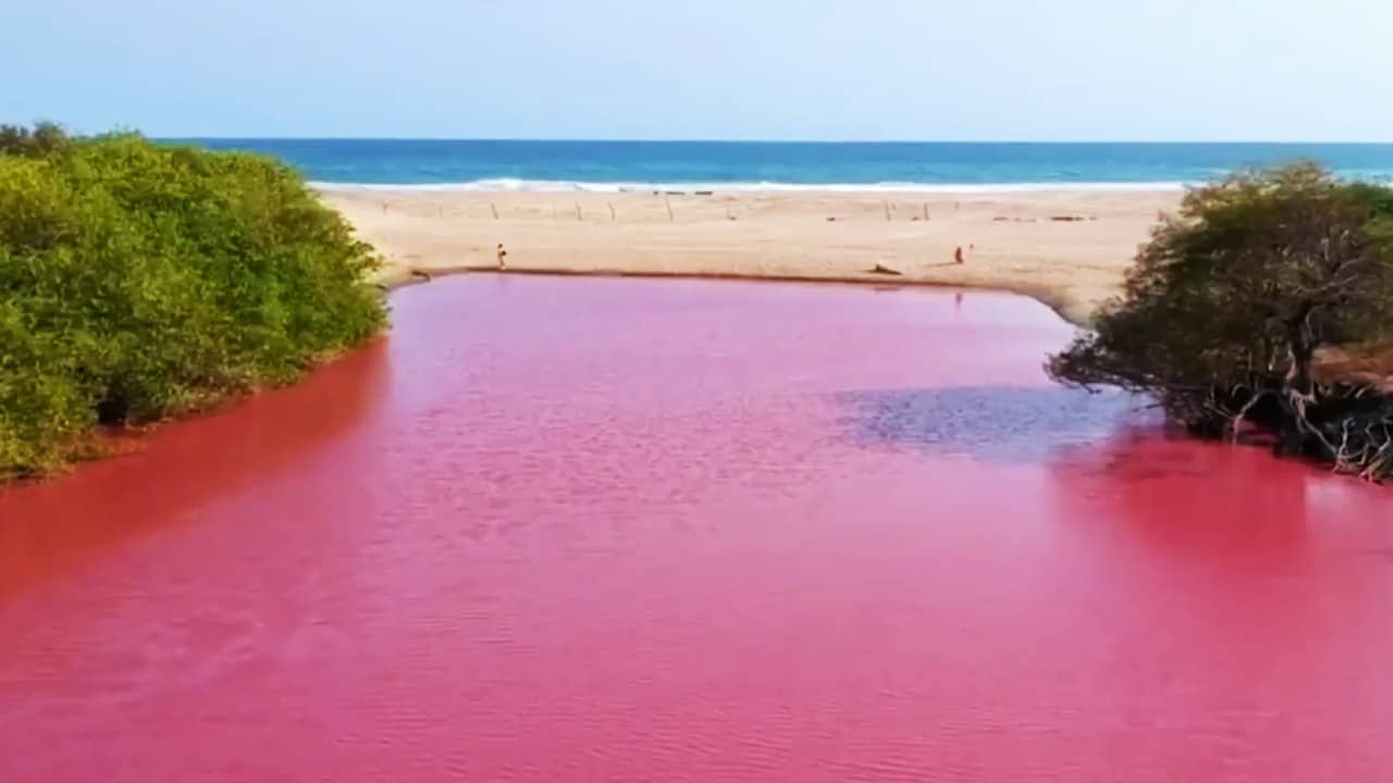 ▶ Coloración rosada han presentado al menos ocho lagunas de Oaxaca, debido a bacterias