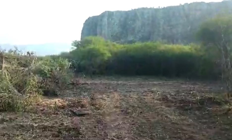▶ Denuncian ecologistas daños a la zona arqueológica de Yagul