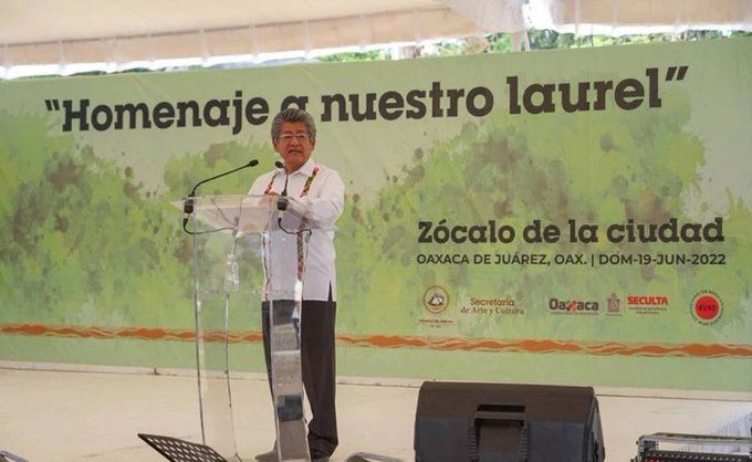 ▶ Tras homenaje al laurel caído, anuncian plan de conservación del arbolado de la Ciudad de Oaxaca