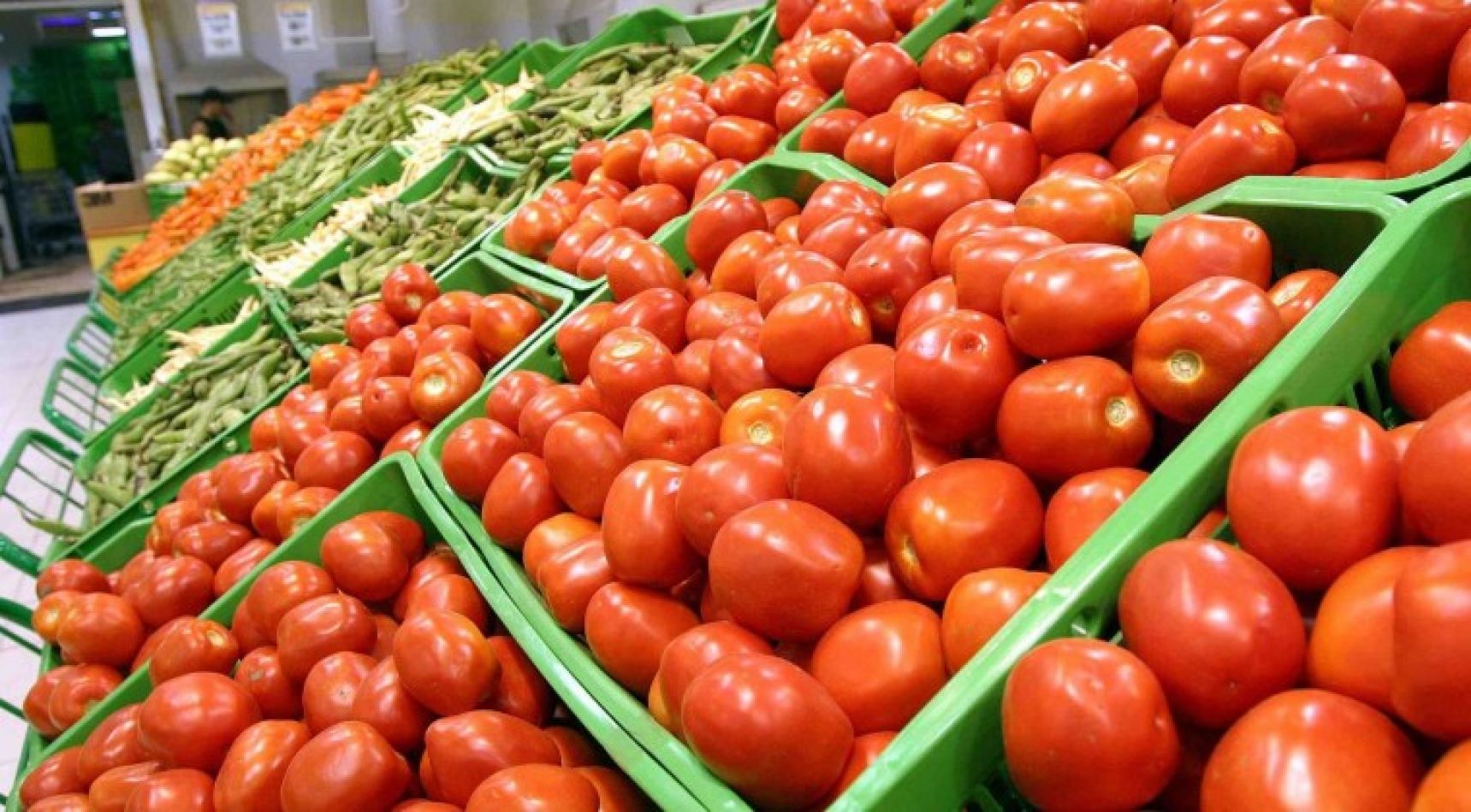 Abarata precios cultivo de tomate en valles centrales