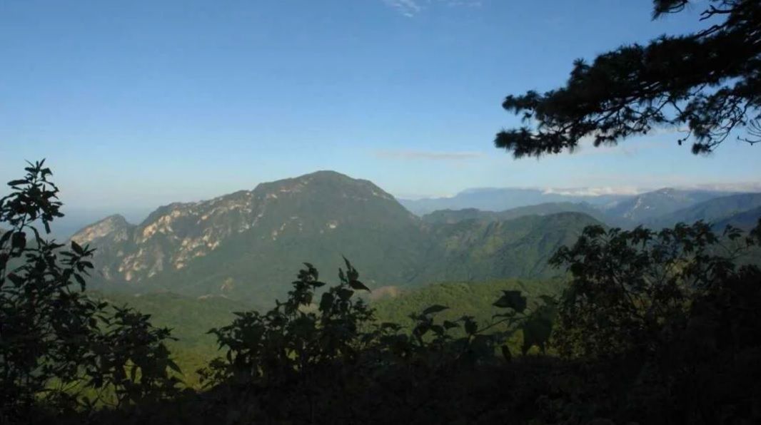 Propone AMLO convertir la Selva de los Chimalapas, Oaxaca, en una zona de reserva