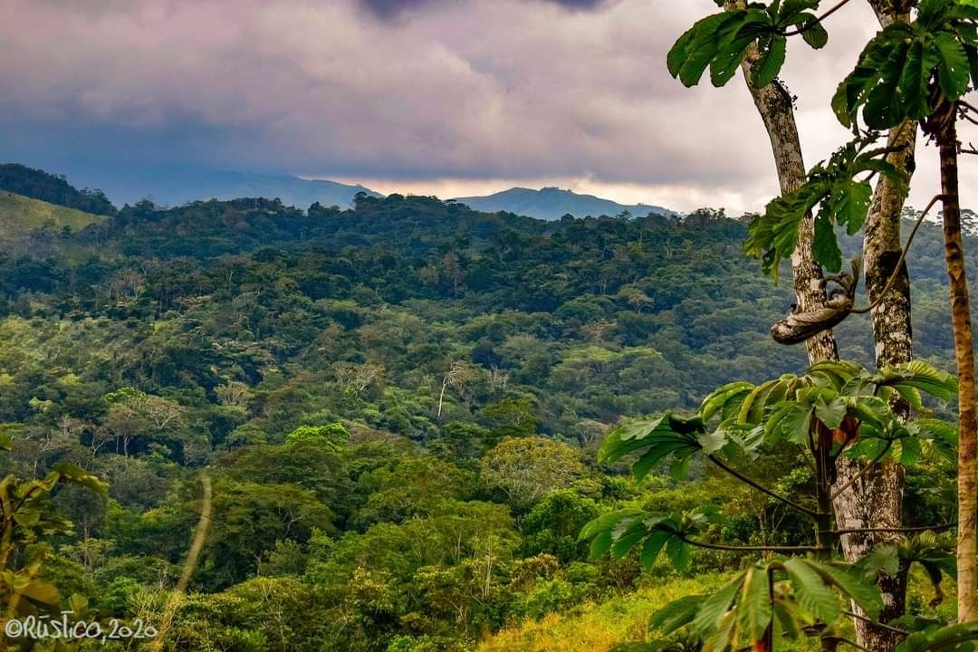 ▶ Chimalapas rechaza propuesta de reserva de la biosfera de CONANP