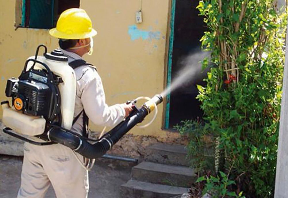 Registra Oaxaca tres muertes por dengue y 186 casos confirmados