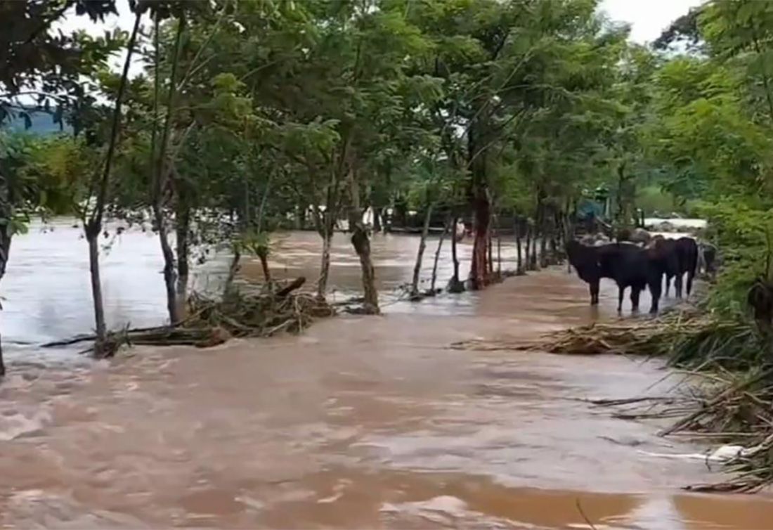 ▶ Dejan lluvias en Oaxaca desbordamiento de ríos y derrumbes