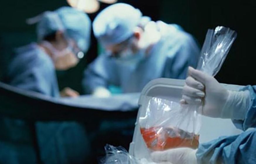 Mitos sobre la donación de órganos: 23 mil personas en lista de espera