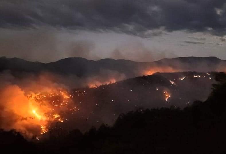 Infierno en la Mixteca: incendio consume bosques de San Juan Mixtepec