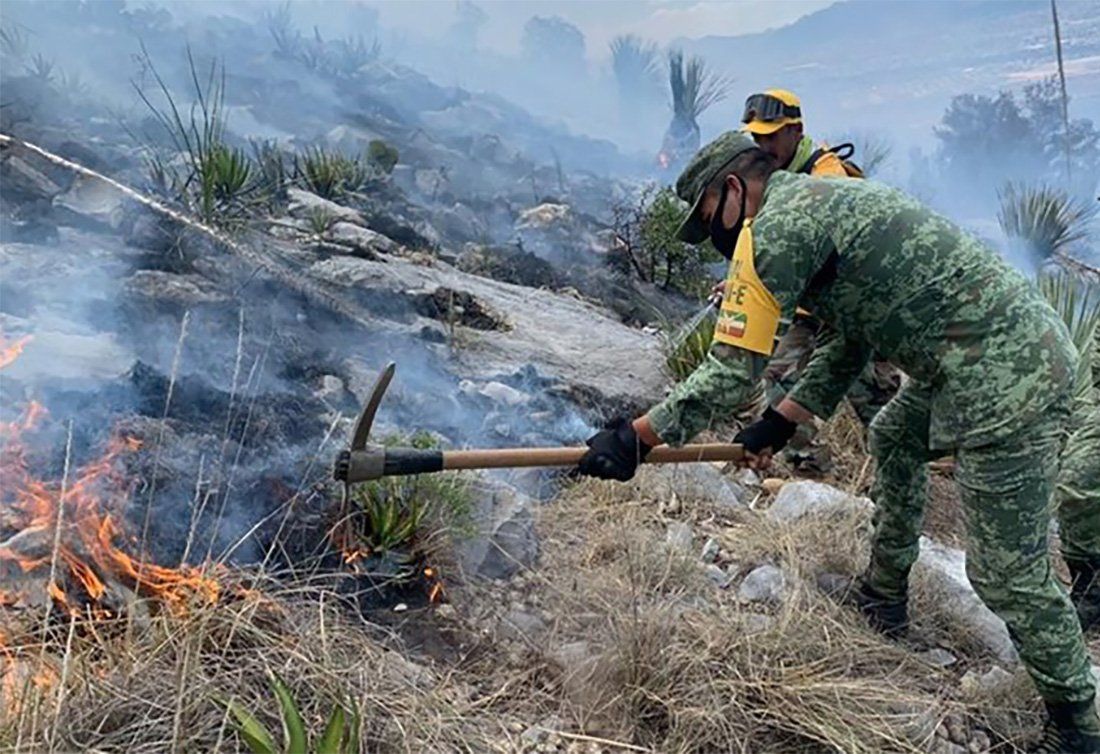 Sedena y GN se suman a las labores para combatir incendio forestal en la Mixteca oaxaqueña