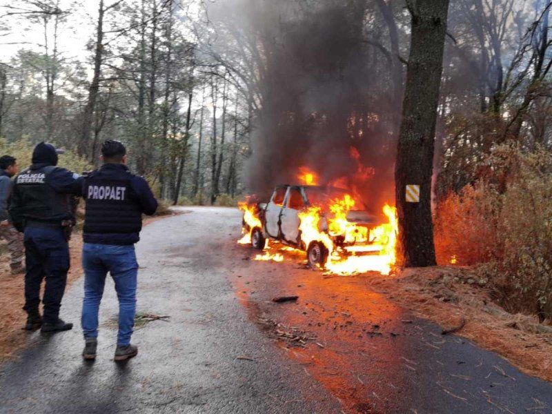 Talamontes golpean a personal de Profepa en La Malinche, Tlaxcala