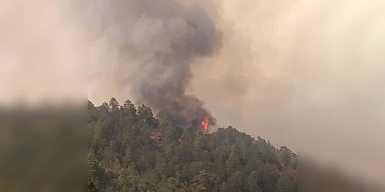 Dos incendios consumen 400 hectáreas de la selva de Los Chimalapas, en Oaxaca
