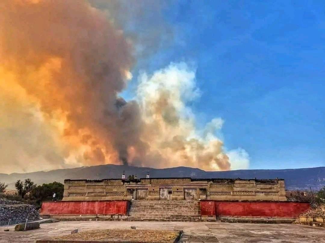 A 8 días de iniciado, incendio forestal de Mitla sigue sin control, afirman lugareños