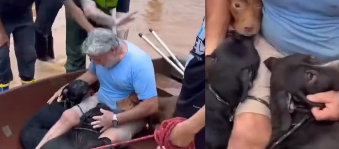 Hombre arriesga su vida para salvar a sus perritos de las inundaciones, en Brasil