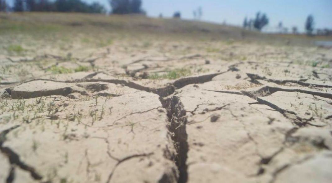 Oaxaca, primer lugar nacional en número de municipios afectados por sequía; suman 373