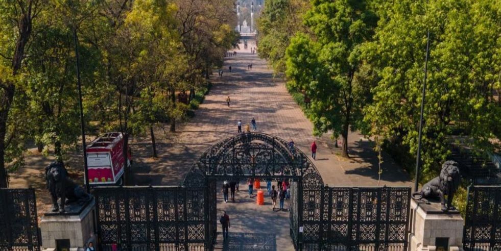 Aumenta a 596 mdp inversión para el Complejo Cultural del Bosque de Chapultepec Aumenta a 596 mdp inversión para el Complejo Cultural del Bosque de Chapultepec
