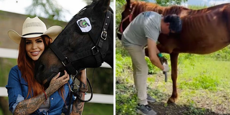 Realizan primer rescate en Cuacolandia tras muerte de Elena Larrea