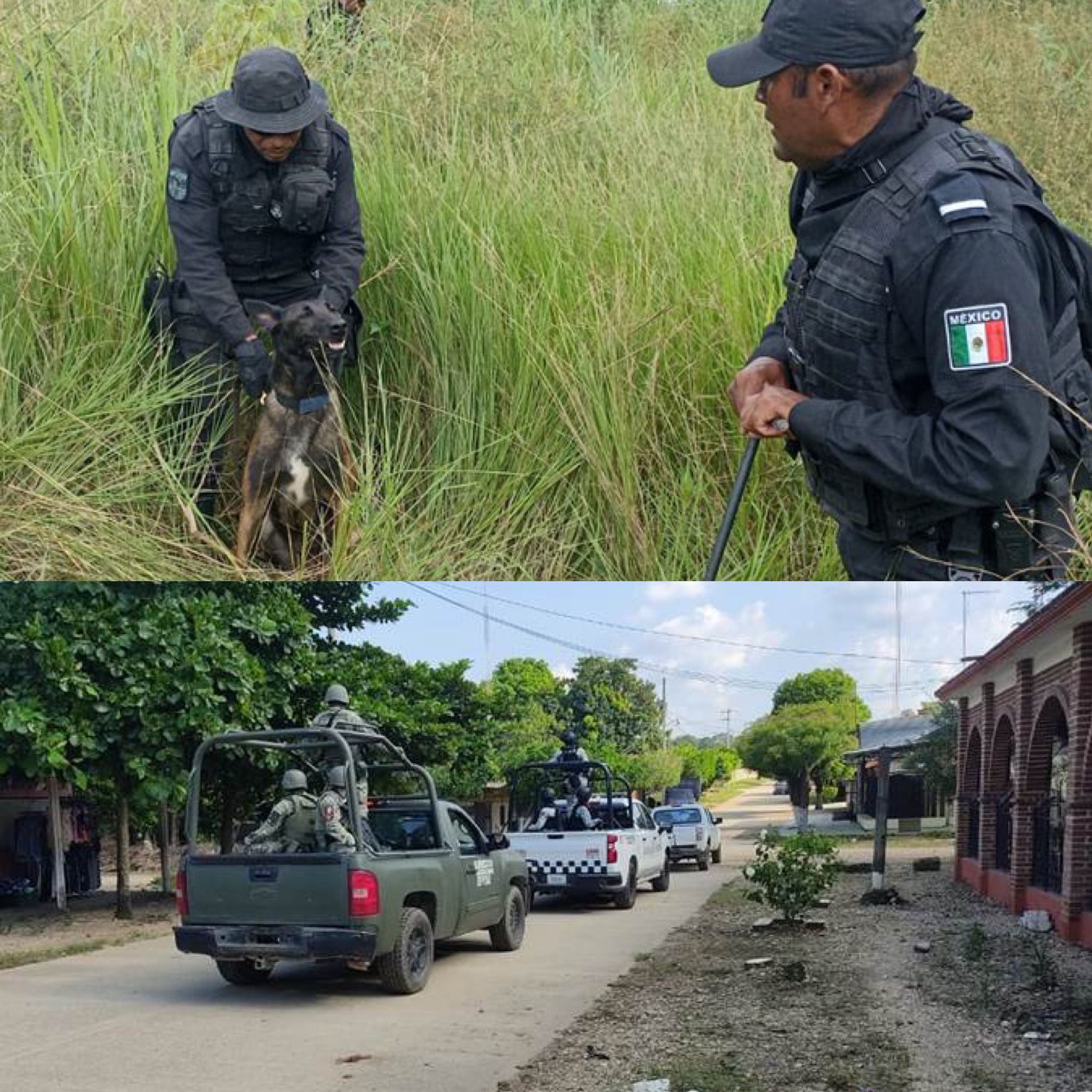 Fiscalías de Oaxaca y Veracruz buscan a la pareja de abogados desaparecidos en límites de ambas entidades