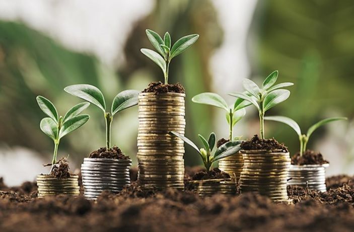 Biodiversidad en riesgo: la urgencia de financiar el futuro del planeta