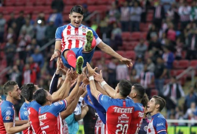 Alan Pulido sería nuevo refuerzo de Chivas para el Clausura 2025; ya habría presentado sus exámenes médicos