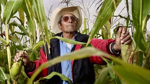 Oaxaca encabeza lista de entidades con mayor pobreza extrema en el campo, revela estudio de Coneval