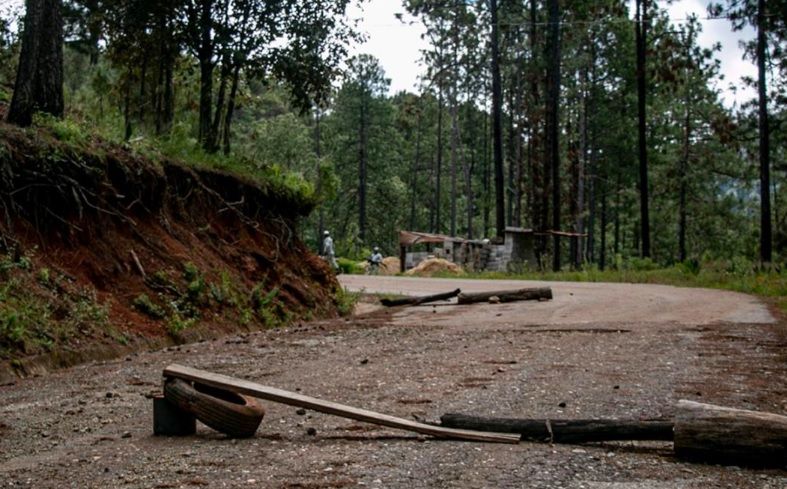 Carga fiscal, deforestación, crimen y despojo; amenazas para las comunidades forestales