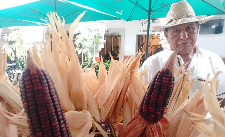 Floriano García, creador del primer banco comunitario para proteger las semillas de maíces nativos de Oaxaca Floriano García, creador del primer banco comunitario para proteger las semillas de maíces nativos de Oaxaca