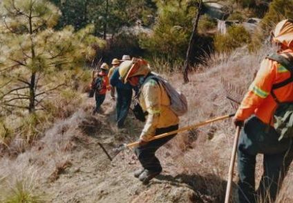 Liquida Coesfo incendio forestal en Santa María Cuquila, en la Mixteca de Oaxaca; hay un muerto Liquida Coesfo incendio forestal en Santa María Cuquila, en la Mixteca de Oaxaca; hay un muerto