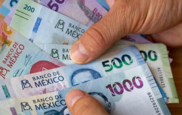 ¿Te quedaste sin empleo? Así puedes registrarte para el Seguro de Desempleo