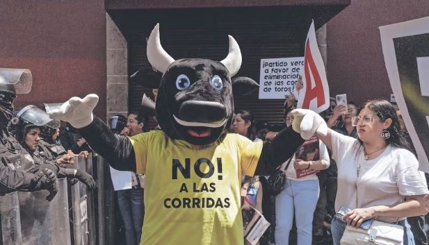 Encuesta revela rechazo a la tauromaquia en CDMX; 75% de los capitalinos se opone a las corridas de toros