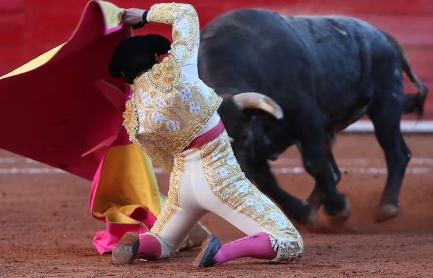 Congreso de la CdMx aprueba la prohibición de corridas de toros con violencia Congreso de la CdMx aprueba la prohibición de corridas de toros con violencia