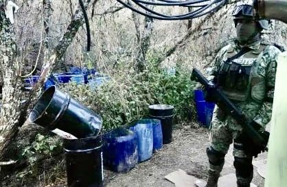 Fuerzas federales desmantelan laboratorio clandestino de drogad en Santa María Zoquitlan, Oaxaca; aseguran precursores químicos Fuerzas federales desmantelan laboratorio clandestino de drogad en Santa María Zoquitlan, Oaxaca; aseguran precursores químicos