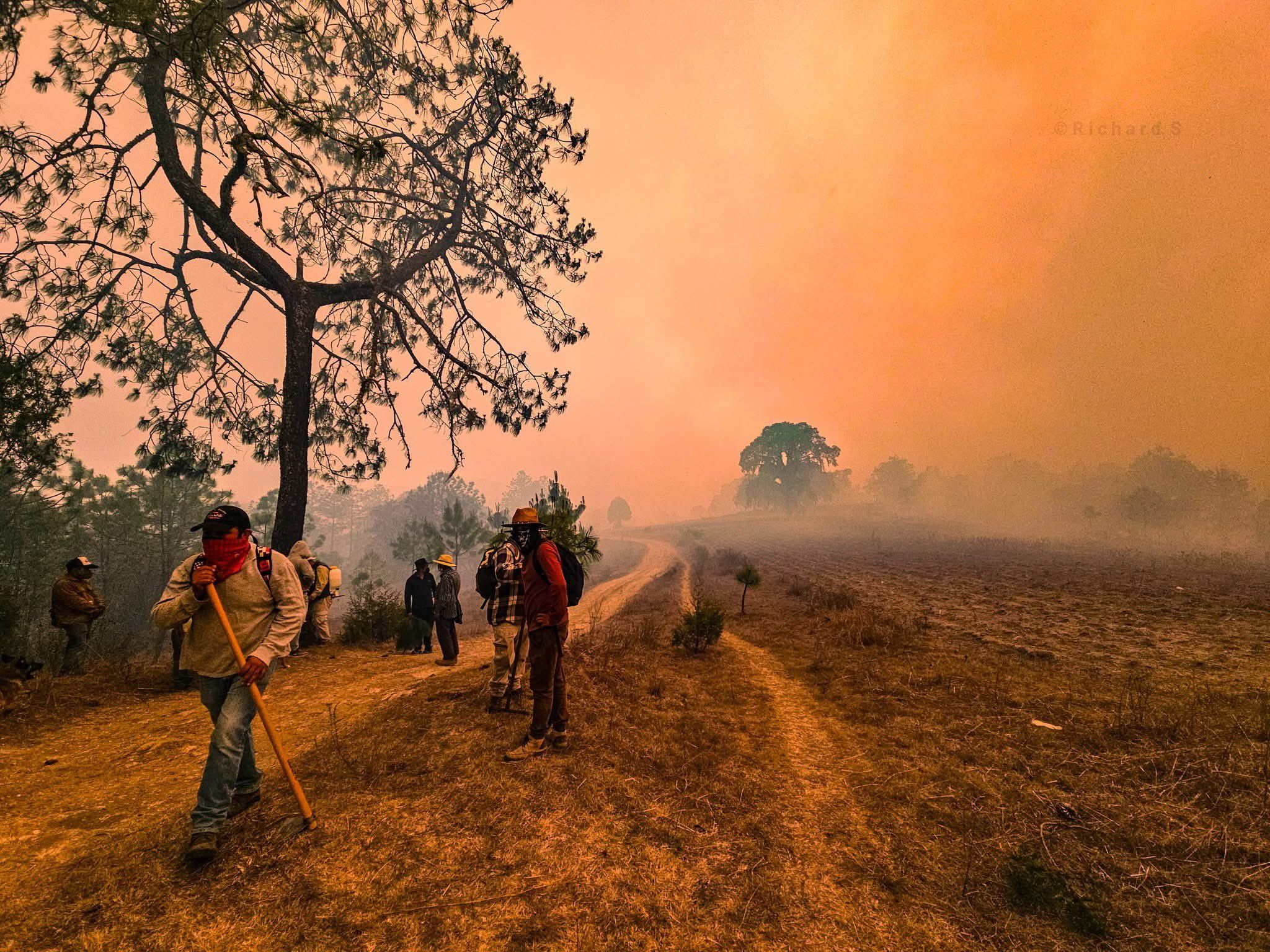 En Oaxaca sigue la emergencia por incendios forestales; autoridades, sin personal y equipo para contenerlos