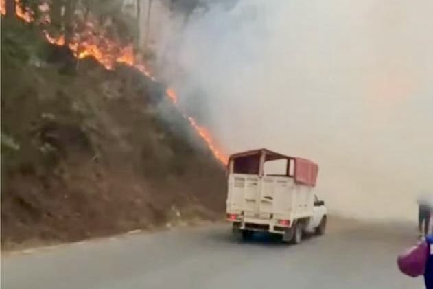 Organizaciones y defensores del territorio exigen a Salomón Jara mayor atención y eficiencia en el combate a incendios forestales