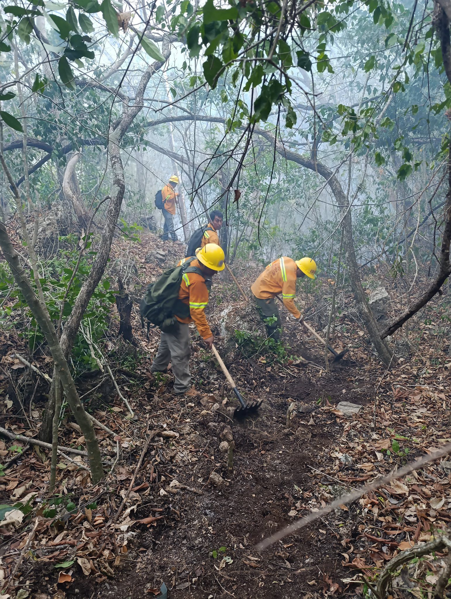 Controlan incendio forestal en Mazatlán Villa de Flores; piden evitar uso de fuego en zonas forestales