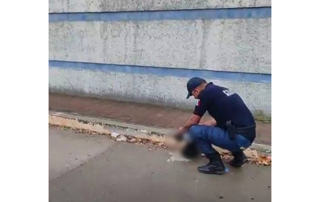 Inseguridad: hallan supuesta cabeza humana con narcomensaje en Ciudad Ixtepec, Oaxaca Inseguridad: hallan supuesta cabeza humana con narcomensaje en Ciudad Ixtepec, Oaxaca