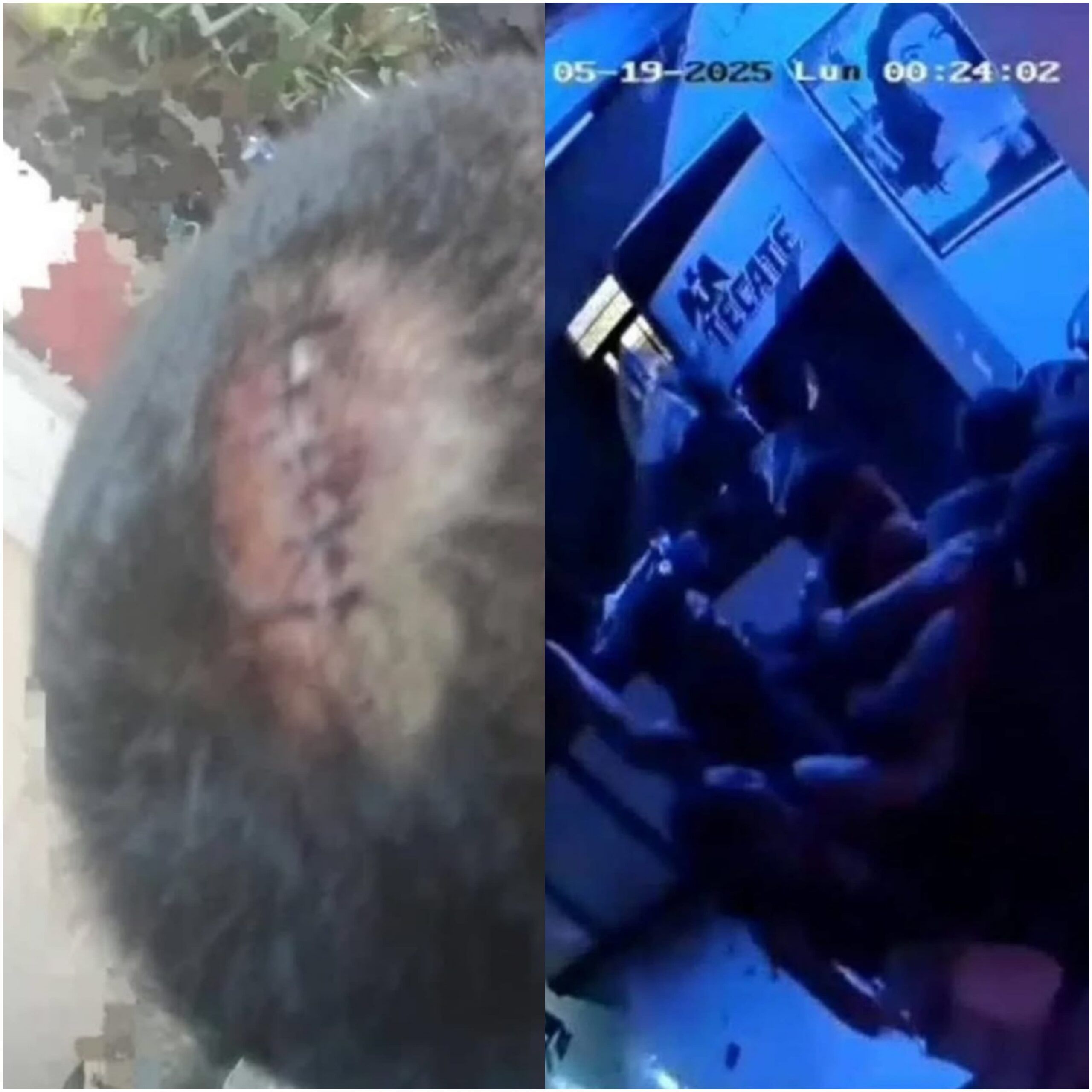 Pareja es agredida en bar del Centro Histórico de Oaxaca; presuntos responsables identificados Pareja es agredida en bar del Centro Histórico de Oaxaca; presuntos responsables identificados