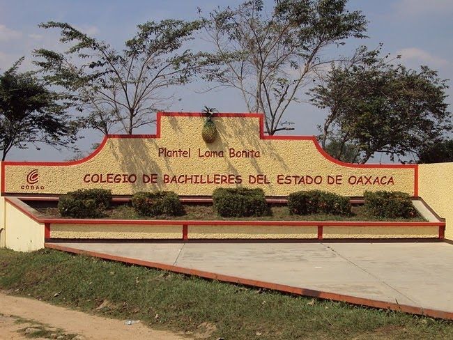 Denuncian presiones políticas en el COBAO PL 47 de Oaxaca Denuncian presiones políticas en el COBAO PL 47 de Oaxaca