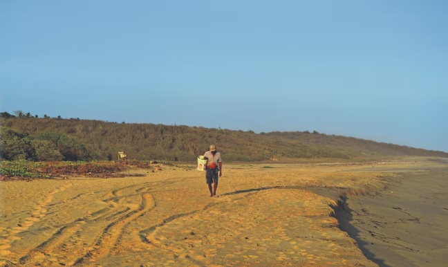 Cozoaltepec, víctima de un fraude para apropiarse de tierras indígenas