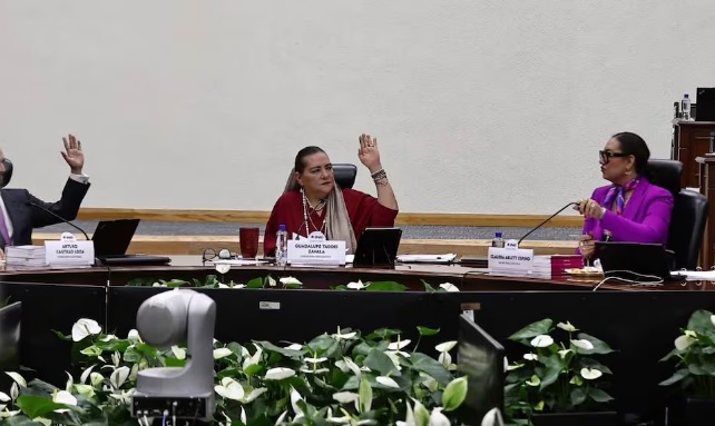 INE valida elección judicial; desestima uso de acordeones
