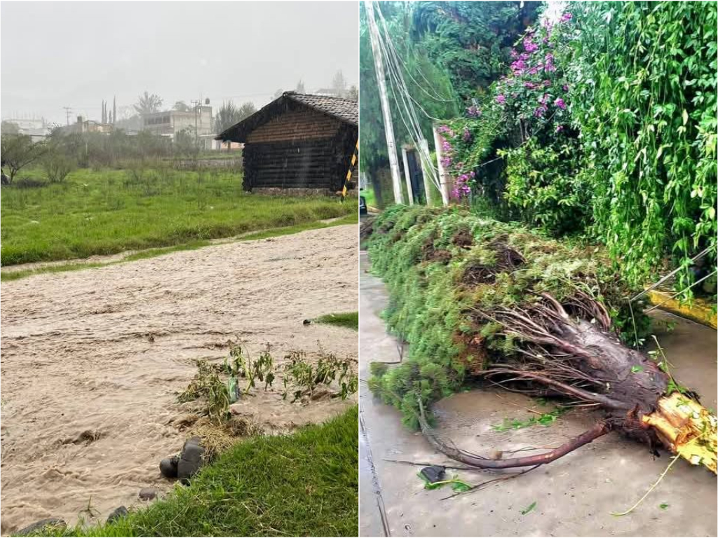 Fuertes lluvias provocan inundaciones y caída de árboles y cables en San Juan Mixtepec y Juxtlahuaca