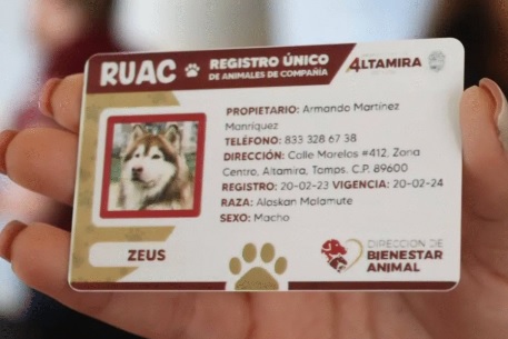 Falso que el RUAC o CURP para tu mascota te genere multa; en estos casos sí aplica una sanción