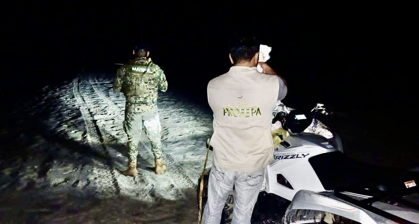 Marina y Profepa aseguran 5 mil 400 huevos de tortuga golfina en playa Morro Ayuta, en la zona chontal de Oaxaca Marina y Profepa aseguran 5 mil 400 huevos de tortuga golfina en playa Morro Ayuta, en la zona chontal de Oaxaca