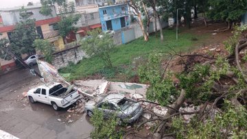 La tromba de este miércoles que azotó Oaxaca de Juárez provocó anegaciones y caída de árboles que dañaron vehículos La tromba de este miércoles que azotó Oaxaca de Juárez provocó anegaciones y caída de árboles que dañaron vehículos
