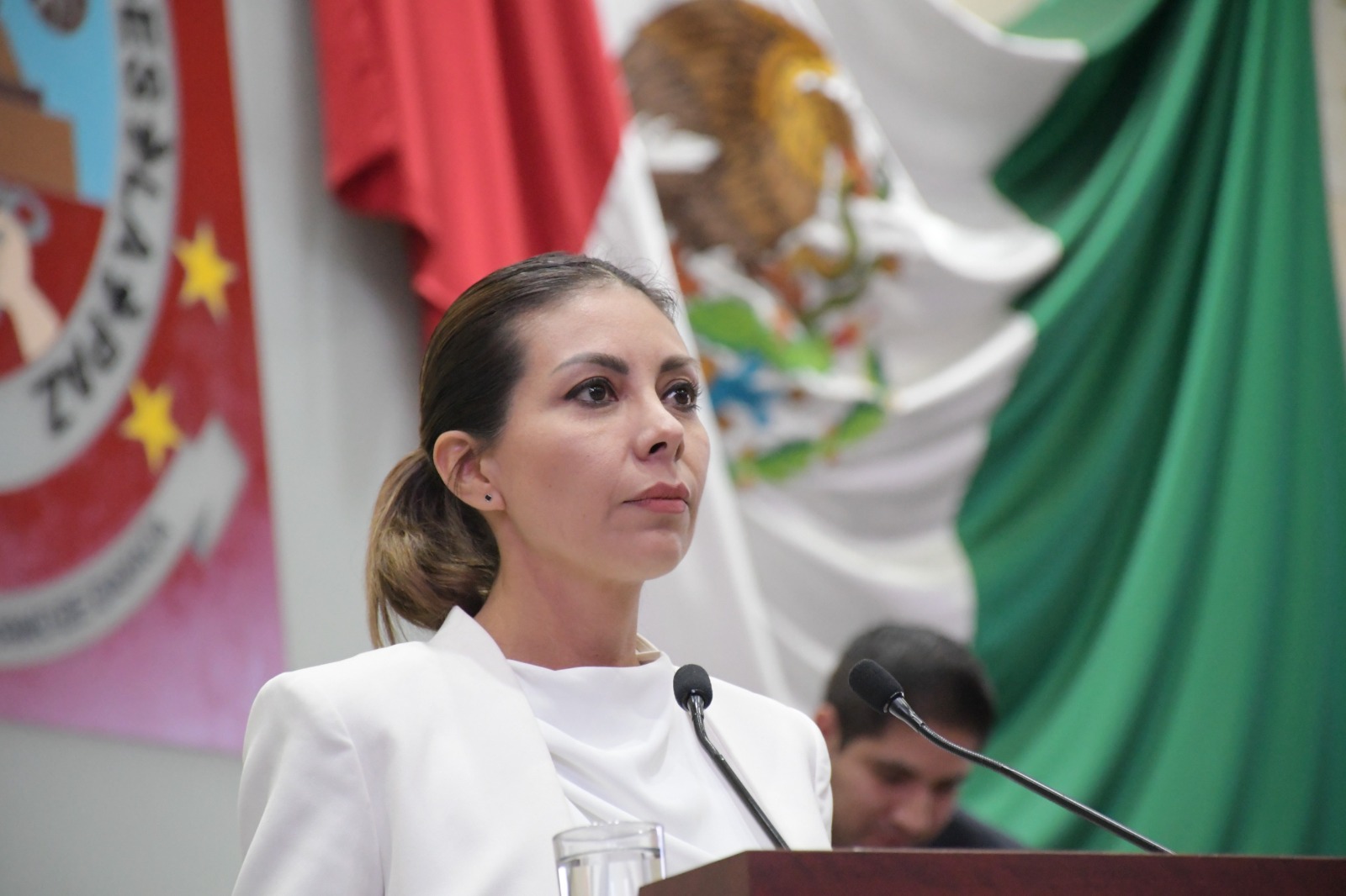 Desaparecer al OGAIPO debilita la democracia y abre la puerta al autoritarismo, advierte diputada Morlán