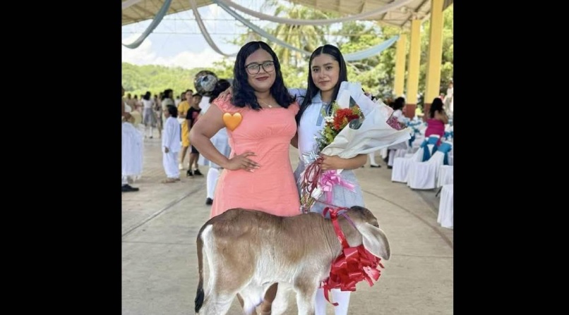 Sorprende regalo de graduación en Oaxaca; estudiante recibe un becerrito Sorprende regalo de graduación en Oaxaca; estudiante recibe un becerrito