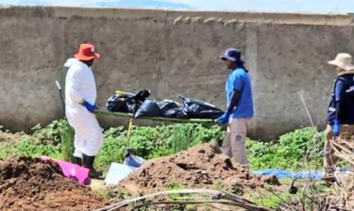Suman 215 bolsas con restos humanos hallados en fosa de Zapopan, Jalisco; «Guerreros Buscadores» pide verificar que no haya más víctimas Suman 215 bolsas con restos humanos hallados en fosa de Zapopan, Jalisco; «Guerreros Buscadores» pide verificar que no haya más víctimas