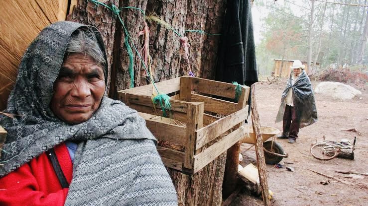 POLÍTICA EXPRÉS | * Triunfalismo engañoso: Sheinbaum y Jara celebran reducción de pobreza… financiada con deuda